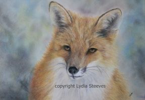 Madoc  Lydia Steeves Recorded Video
